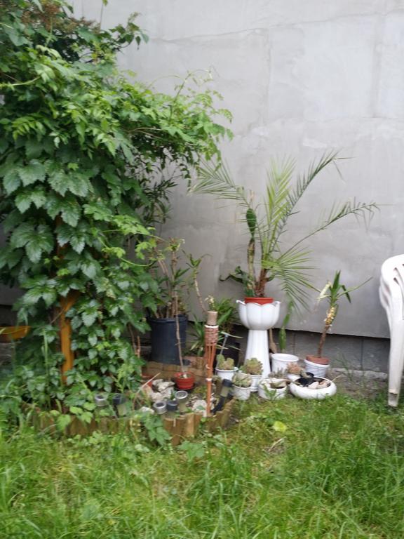 Boris Apartman Apartment Jula Exterior foto