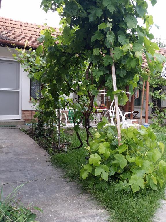 Boris Apartman Apartment Jula Exterior foto